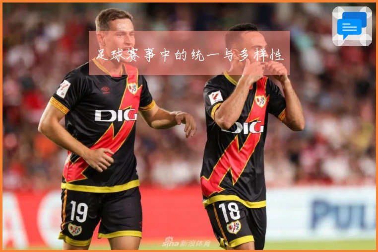 足球赛事中的统一与多样性
