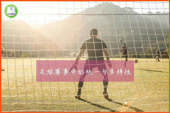 足球赛事中的统一与多样性