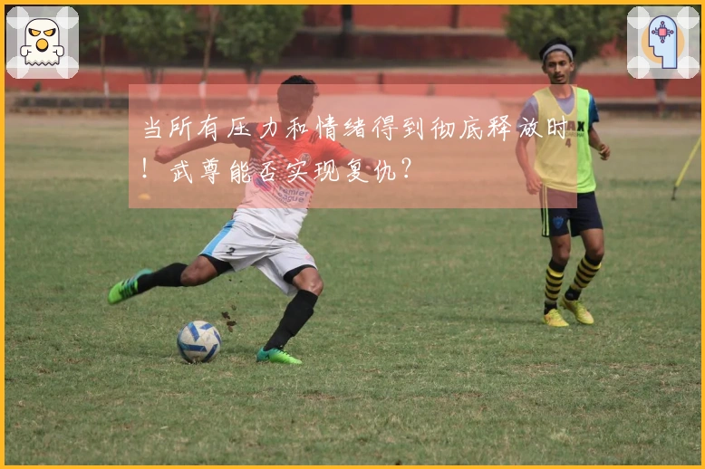 当所有压力和情绪得到彻底释放时！武尊能否实现复仇？
